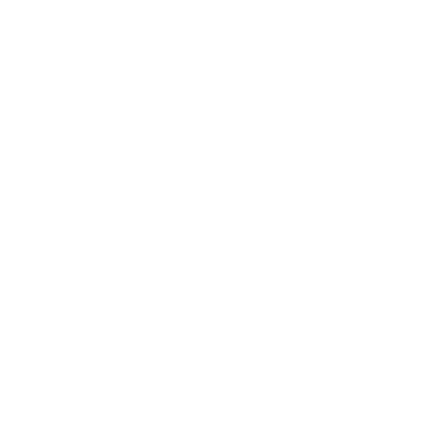 Safe Rack